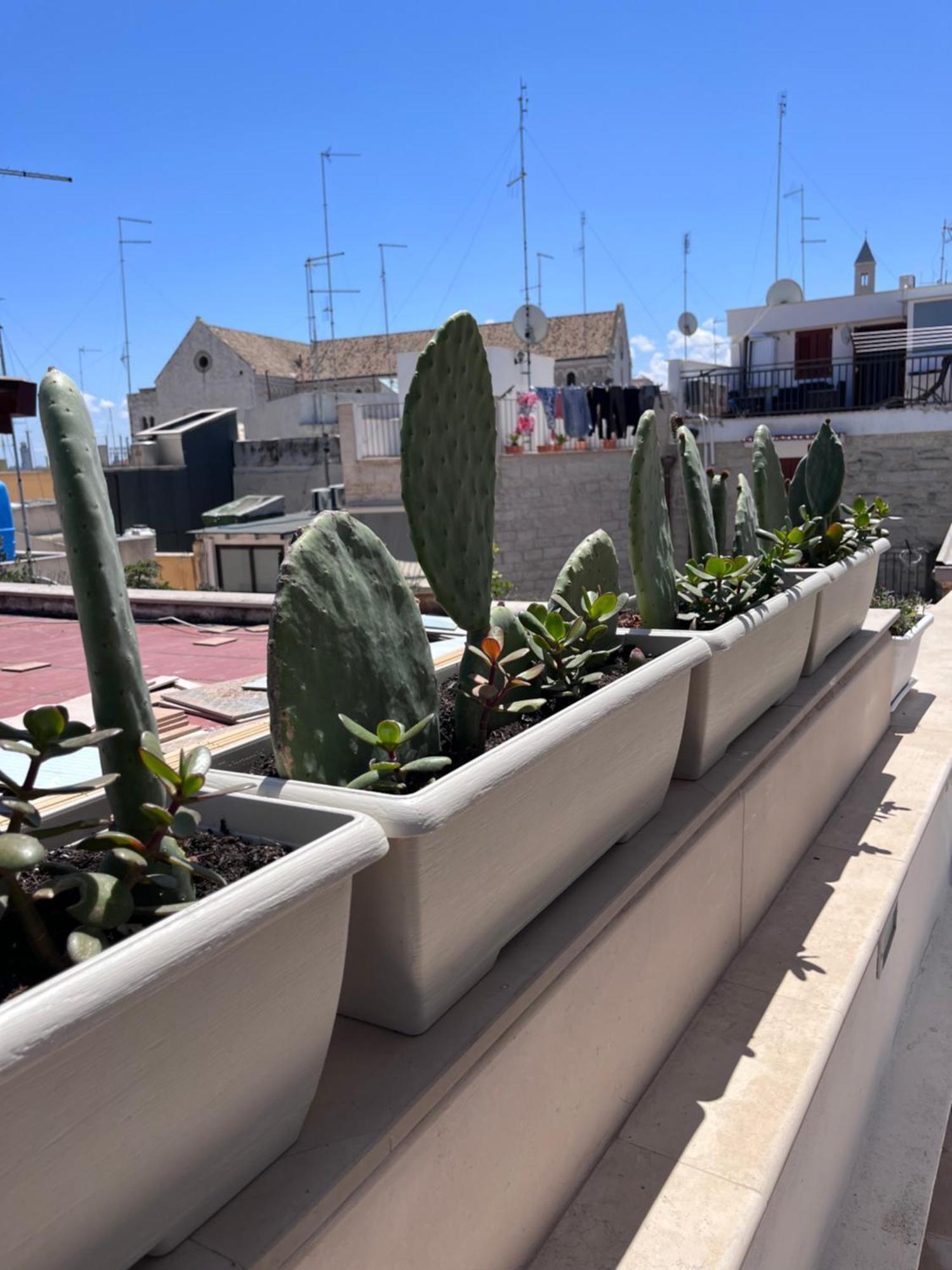 Casa Franca - Terracielo A Bari Vecchia Villa Exterior foto